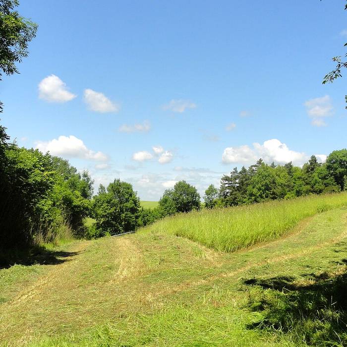 Photo de Anciens bâtiments de la Grange aux dîmes